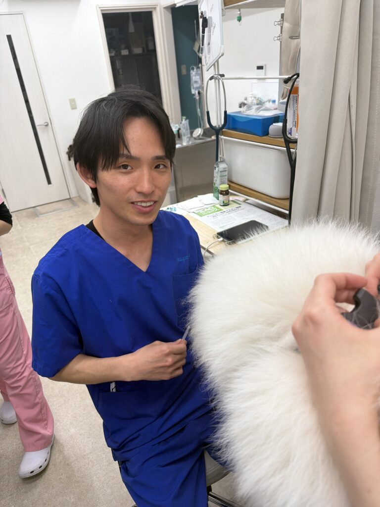 桜の街どうぶつ病院　獣医師　藤江伸